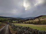 Hayfield