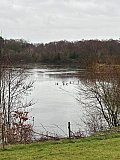 Lindow Common & Saltersley Moss