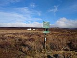 Hayfield