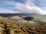 Hayfield
