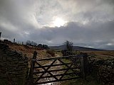 Hayfield