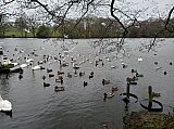 Sunday 23rd Feb Redesmere  Walk.Photo credit. R. Gatley