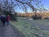 Boxing Day walk