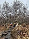 Lindow Common & Saltersley Moss