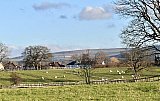 Boxing Day walk