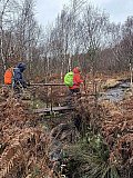 Lindow Common & Saltersley Moss