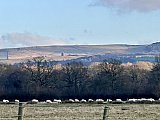 Boxing Day walk
