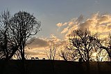 Boxing Day walk