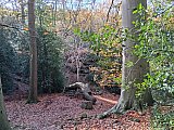 Alderley Edge in Cheshire. A walk of seven miles 