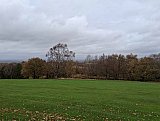 Walk 11th Nov 2025