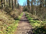 Teggs Nose country park. Sunday 2nd March. Photo credit R.Gatley