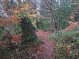 Footpath to Taxal - Long Walk Whaley Bridge