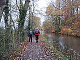 Walk 11th Nov 2025