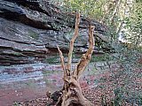 Alderley Edge in Cheshire. A walk of seven miles 