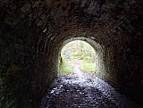 Walk 11th Nov 2025